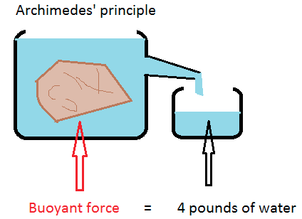 Archimedes' principle