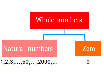 Definition of whole numbers